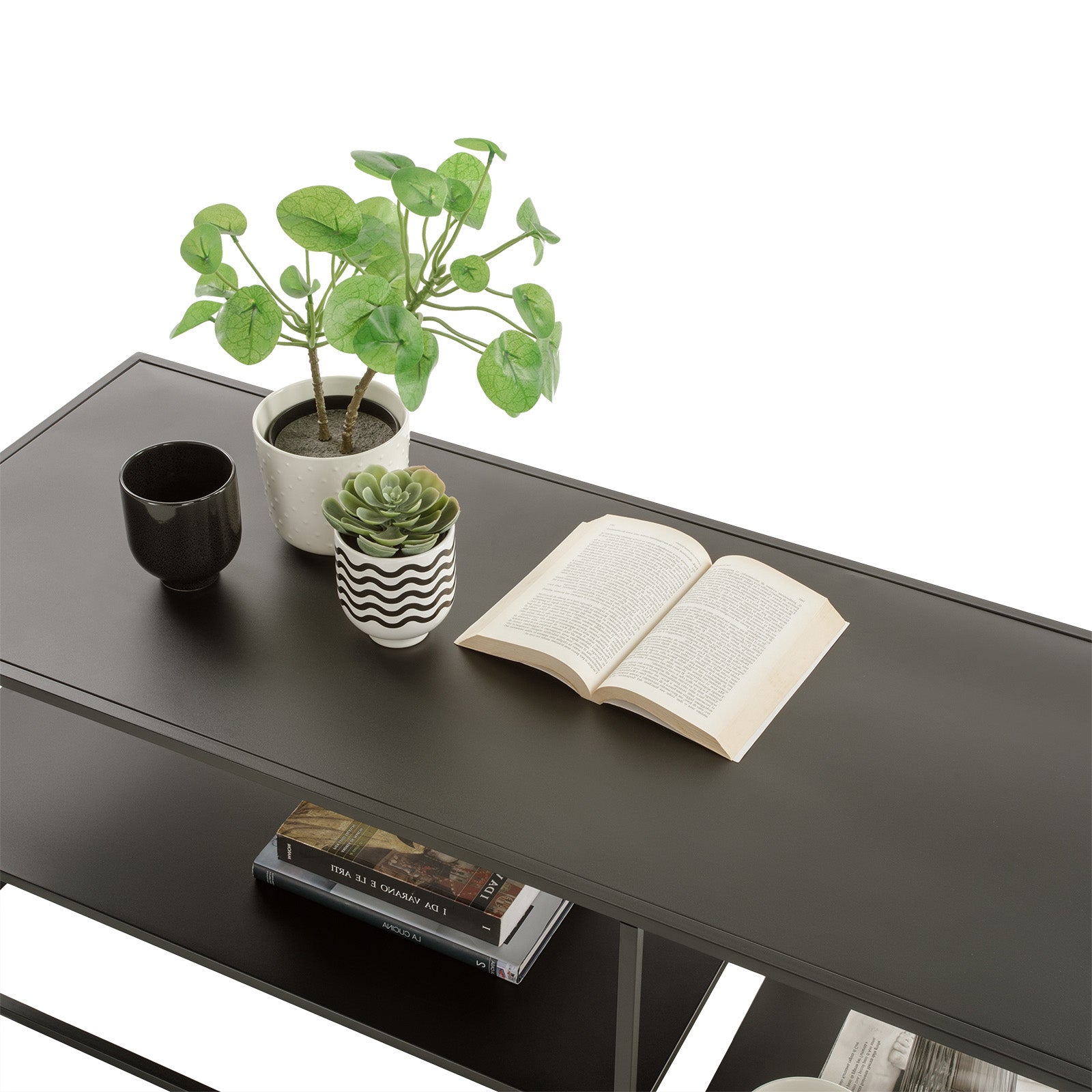 Libreria ANGIE