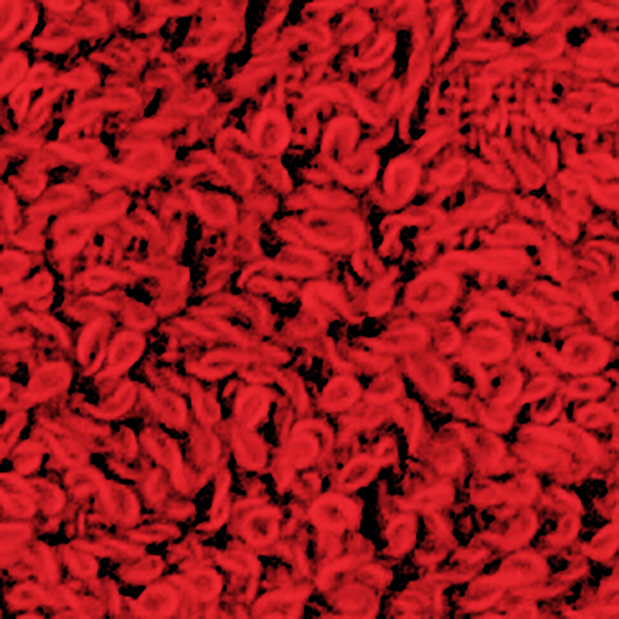 Accapatoio SICILIA M